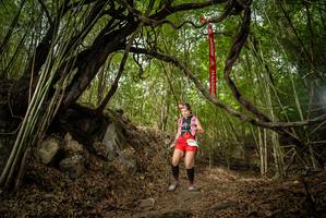 BIB: 
                            <button type="button" onclick="openModal(22178679)" class="btn btn-primary btn-sm float-right btn-popup" data-toggle="modal" data-target=".modal-high-quality">
                        <i class="fas fa-shopping-cart"></i> Add to Cart
                    </button>
                                            <button type="button" onclick="isThisMe(22178679, true)" class="btn btn-success btn-sm float-right btn-popup btn-isme hidden" data-toggle="tooltip" data-placement="bottom" title="นี่คือรูปของคุณใช่ไหม คลิกที่นี่เพื่อเอาเข้าอัลบั้ม">
                        <i class="fas fa-plus"></i> Add to album
                    </button>
                    <button type="button" onclick="isThisMe(22178679, false)" class="btn btn-warning btn-sm float-right btn-popup btn-isnotme hidden">
                        <i class="fas fa-ban"></i> Remove from album
                    </button>